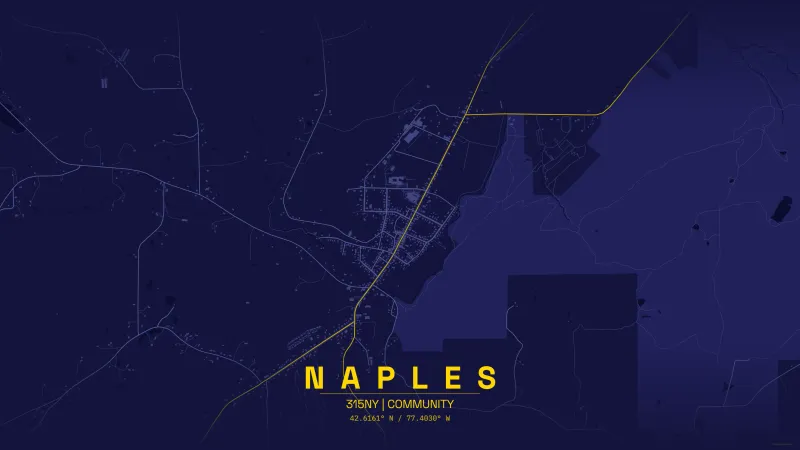 Map of naples.webp