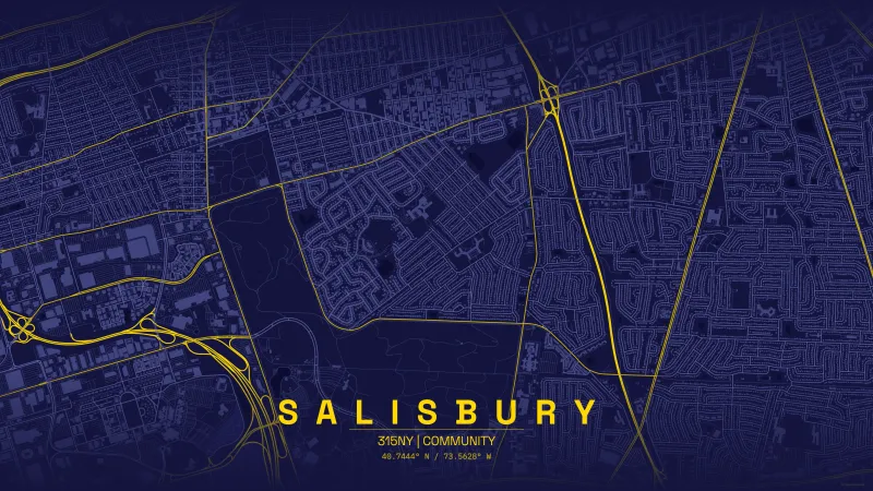 Map of salisbury.webp