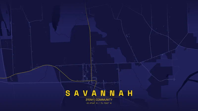 Map of savannah.webp